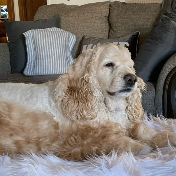 Please like and Share this live notification to know when I am live - Picture 9 of 17